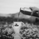 einfach-produktiver-Morgenroutine